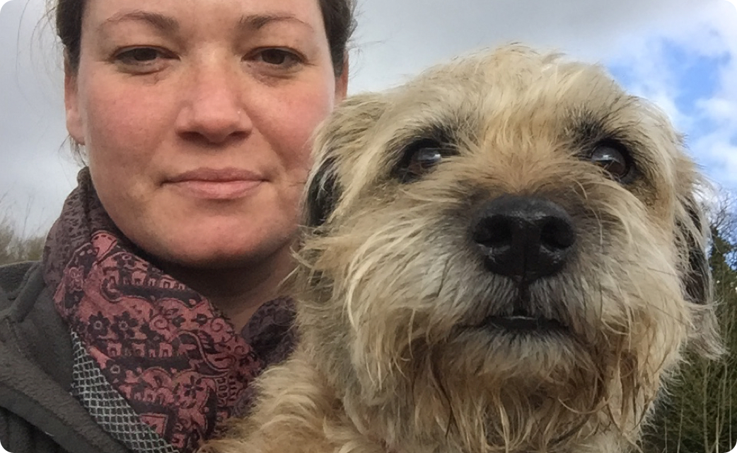 professiona-dog-walking-winchester