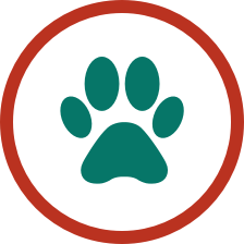 dog-walking-winchester