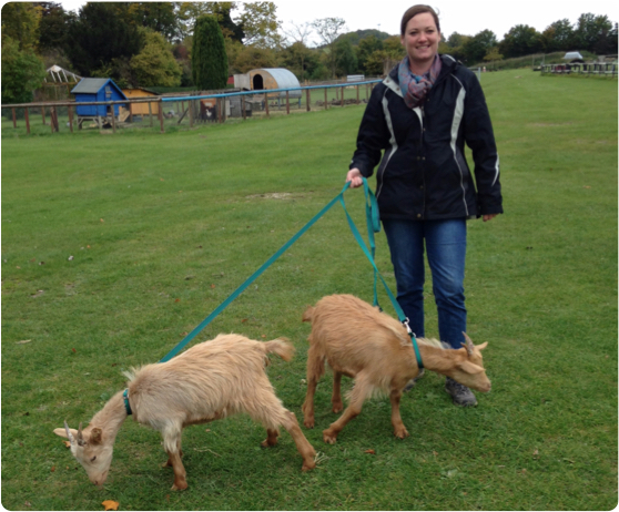 winchester-professional-pet-care